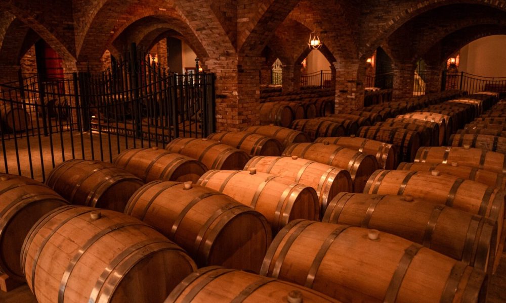 barricas de vinho da vinicola campestre